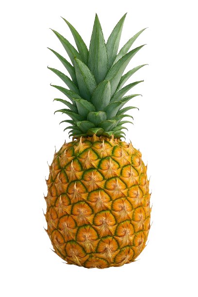 icon_ananas