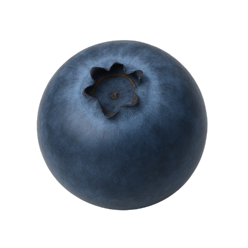 icon_blåbær