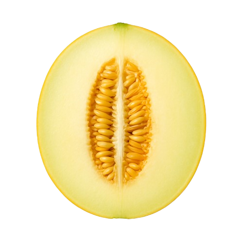icon_melon